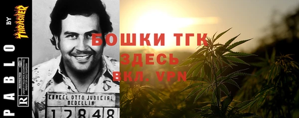 прущие грибы Медногорск