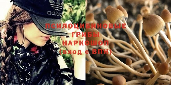 ALPHA-PVP Михайловск